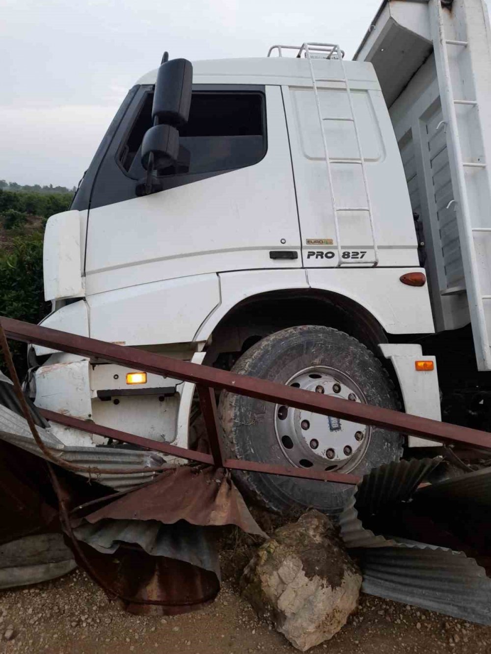 Kamyon sürücüsü direksiyonu başında ölü bulundu