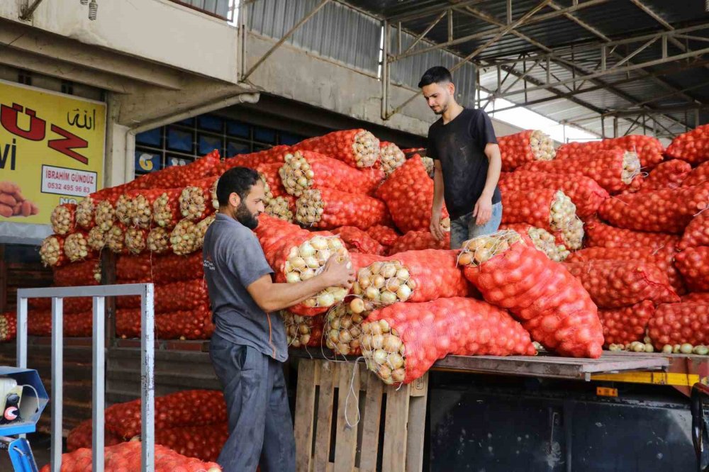 Soğan fiyatları gündemden düşecek