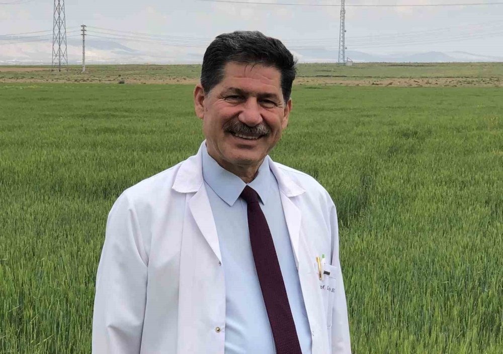 Türkiye’de tarımsal kuraklık riski kalmadı ama... Uzman isimden çiftçilere uyarı