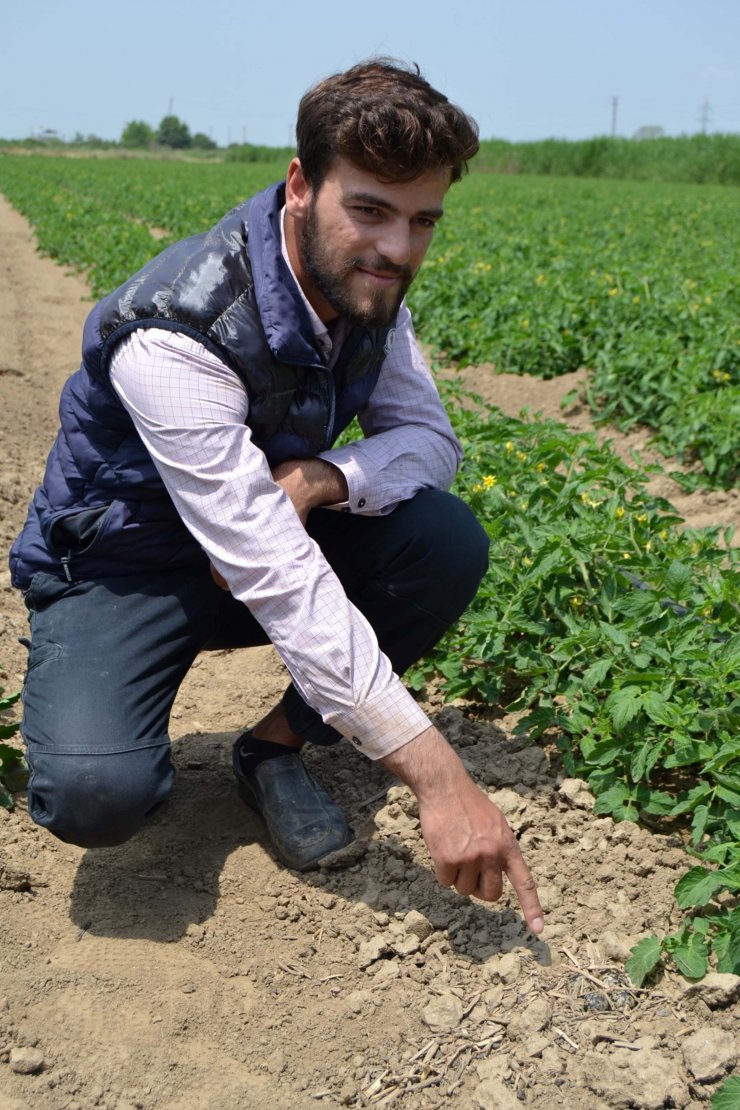 Traktörün önüne geçip yumurtalarının ezilmesini engelledi