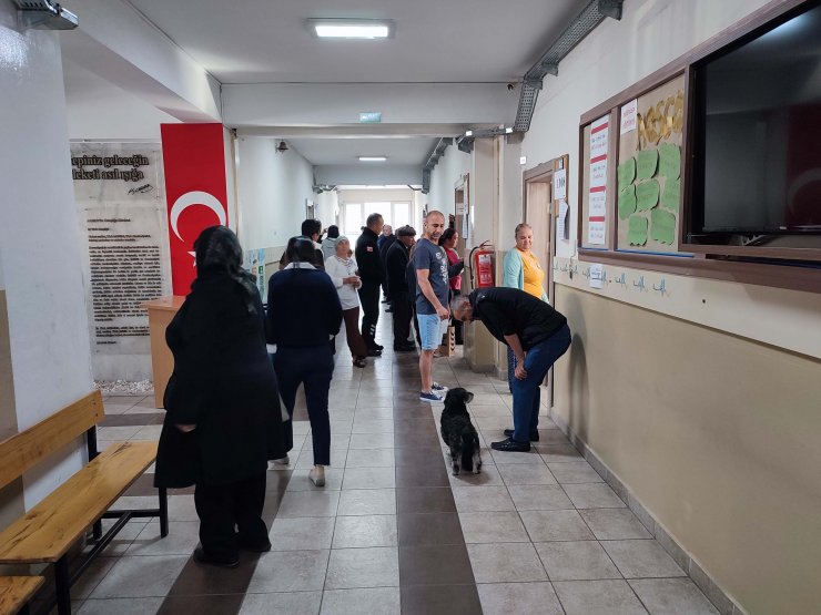 Bastonlarıyla oy vermeye gittiler