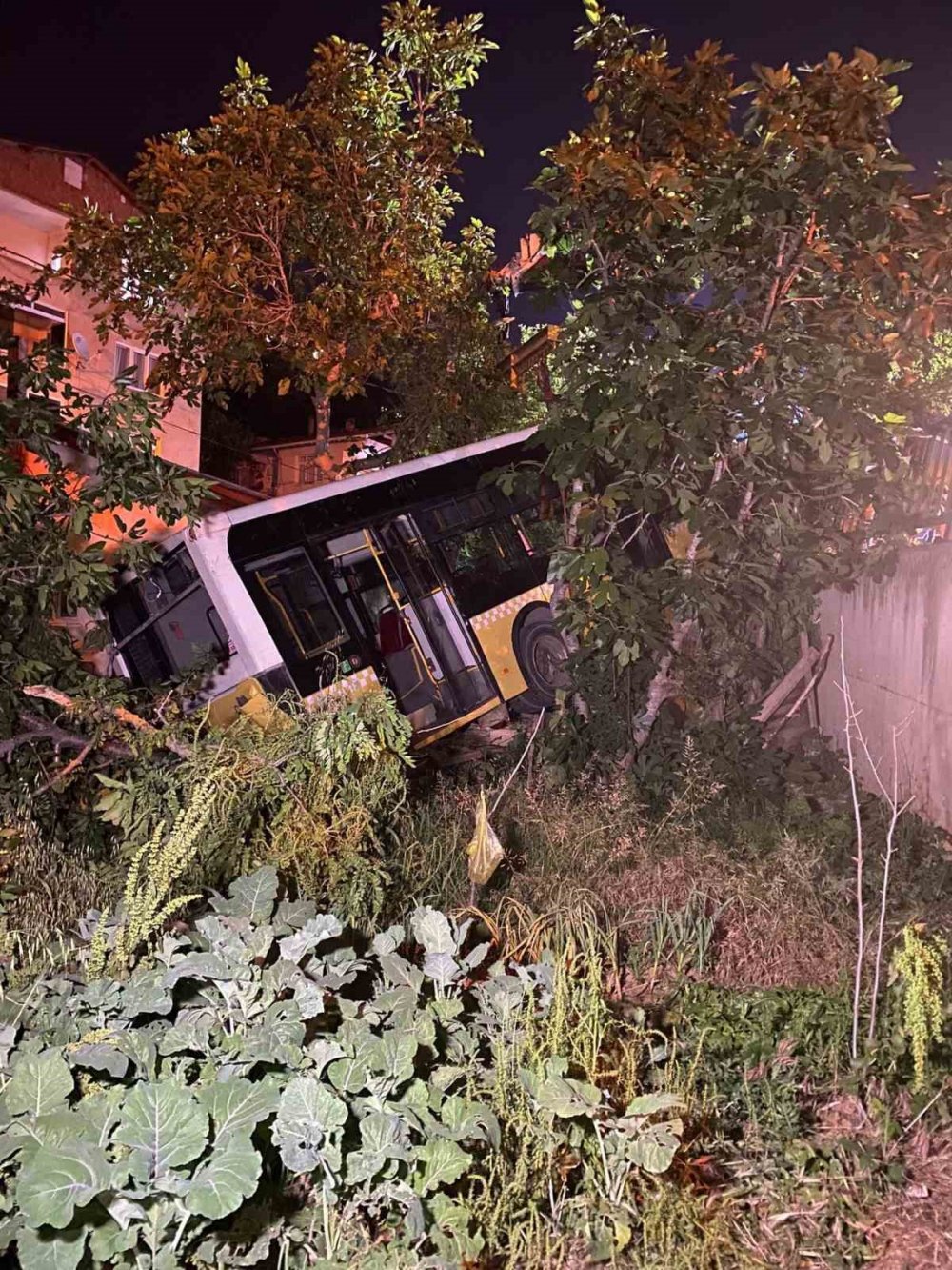 Freni boşalan otobüs bir evin bahçesine düştü