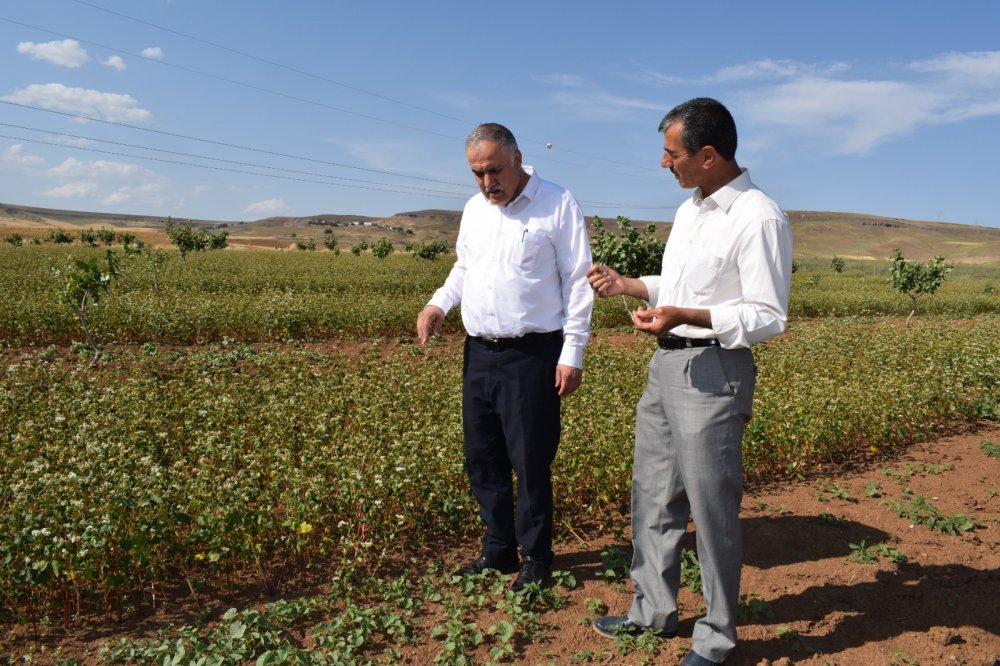 Oğlu ve yeğeni için ekti! 150 hastaya ücretsiz dağıtacak