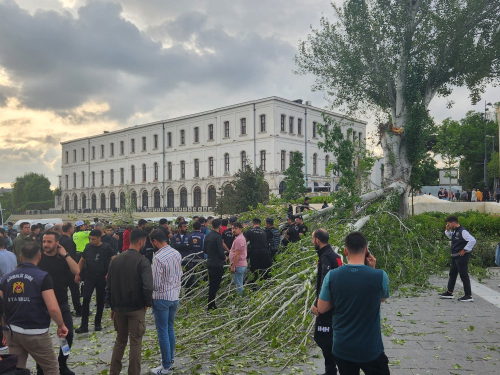 Turist rehberi devrilen ağacın altında kaldı