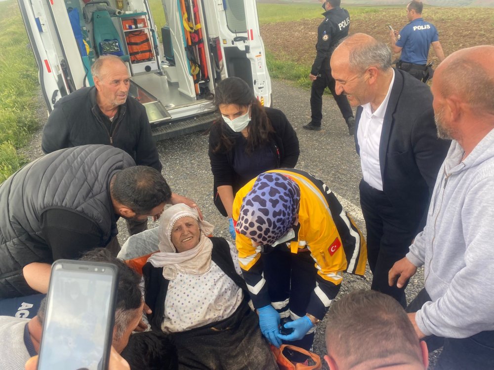 Ot toplarken kayboldu, 3 gün sonra çoban buldu