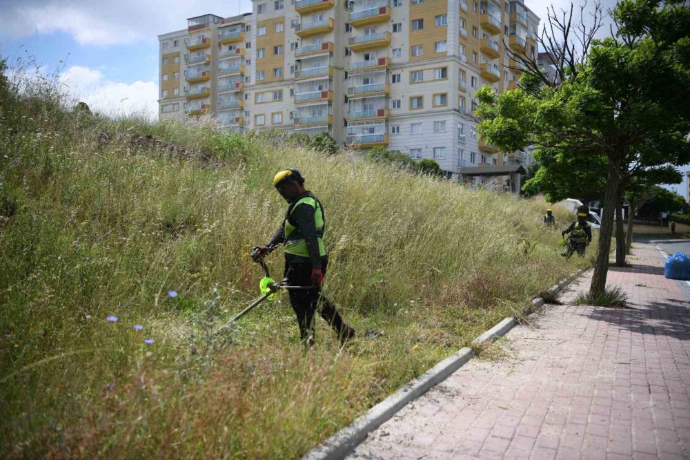 Kavşaklar güzelleşiyor