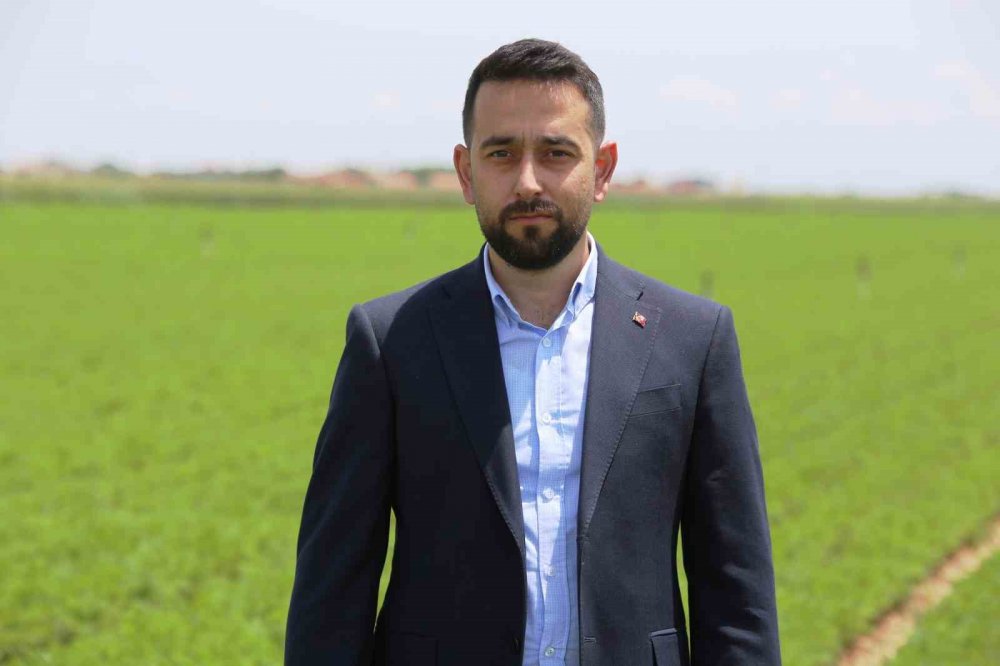 Konya'da yüz binlerce ton üretiliyor, Türkiye'nin ihtiyacının yarısından fazlasını karşılıyor!