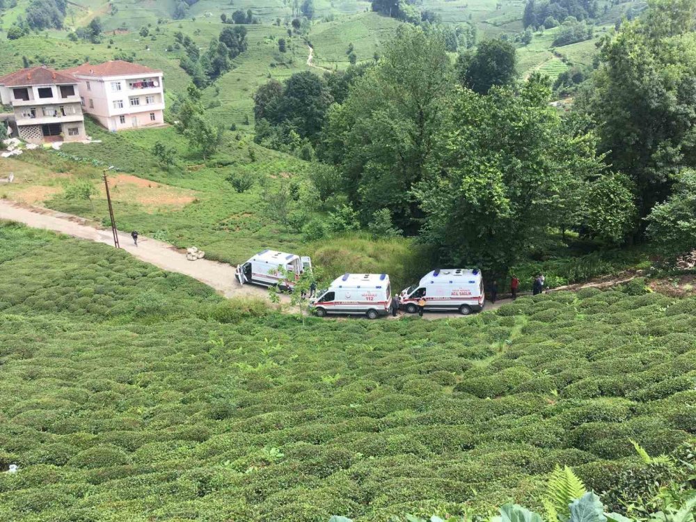 Otomobil çay bahçesine yuvarlandı