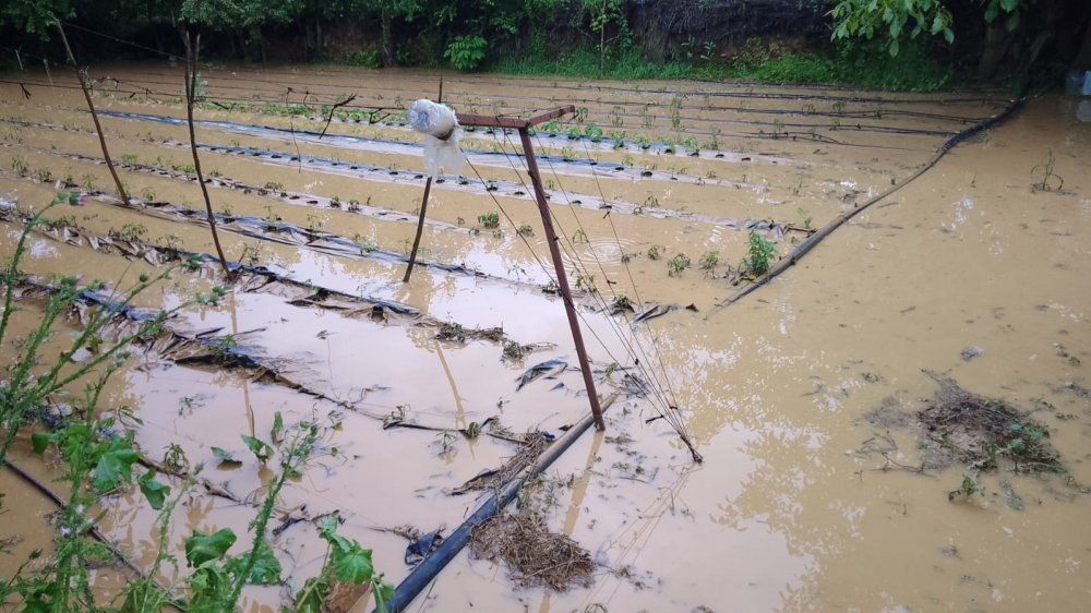 Konya’da haziran ayında kış mevsimini andıran görüntüler