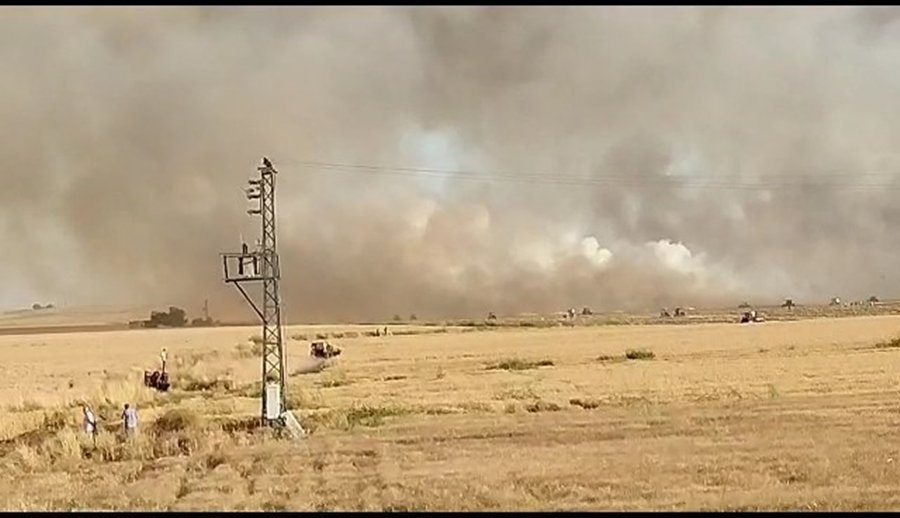 300 dönüm ekili buğday yandı