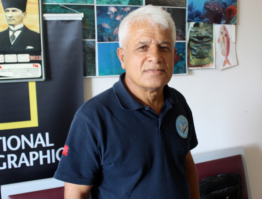 Akdeniz'deki tehlike! Popülasyonu yüzde 97 azaldı