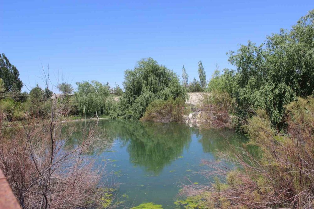 Konya'nın adı erozyonla anılan ilçesine adeta vaha oldu