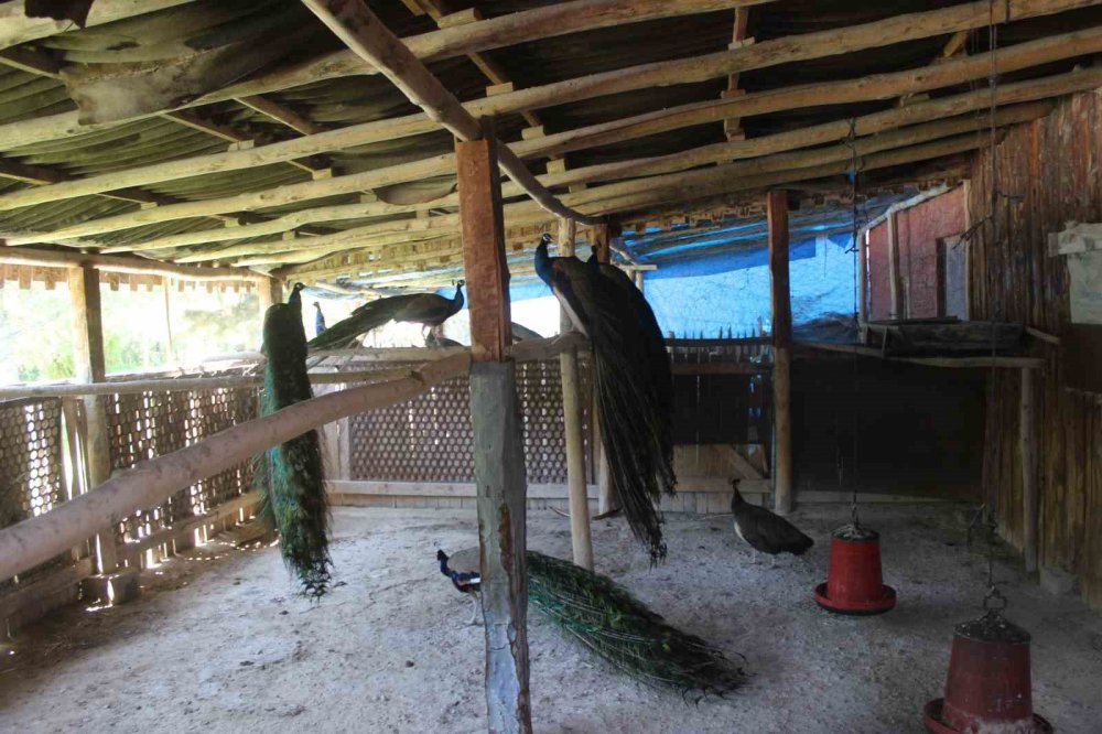 Konya'nın adı erozyonla anılan ilçesine adeta vaha oldu