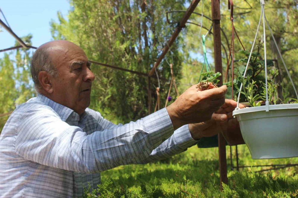 Konya'nın adı erozyonla anılan ilçesine adeta vaha oldu