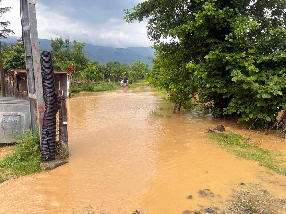 Düzce'de 21 köyde dereler taştı