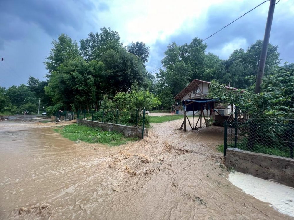 Düzce'de 21 köyde dereler taştı