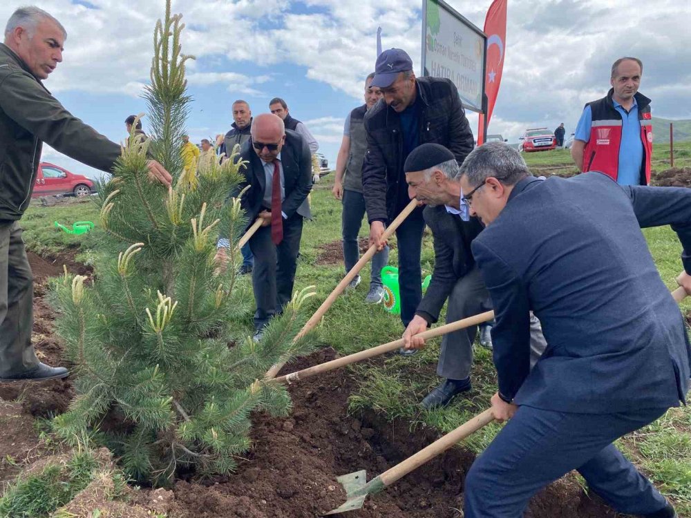 Şehidin hatırasına orman oluşturuldu