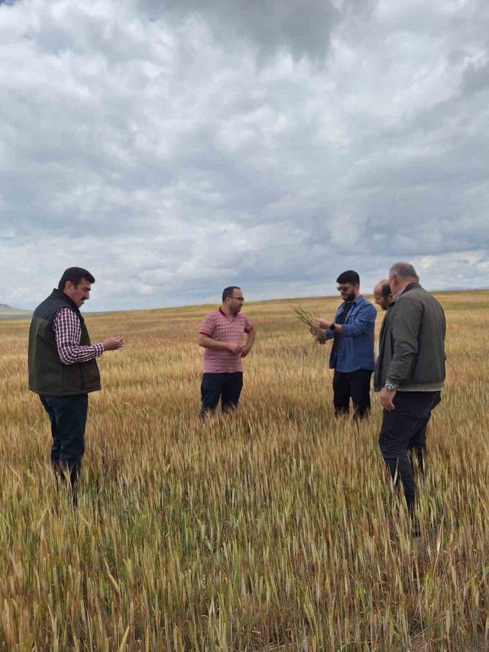 Konya'da tarım alanlarında hasar tespit çalışmaları sürüyor