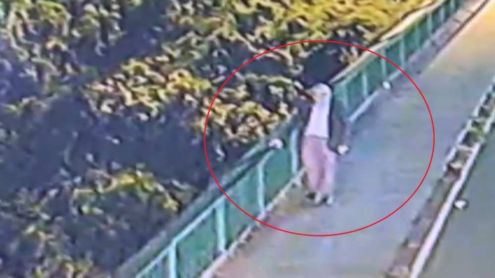 Köprüden dereye atlayan kişi hayatını kaybetti; olay anı kamerada