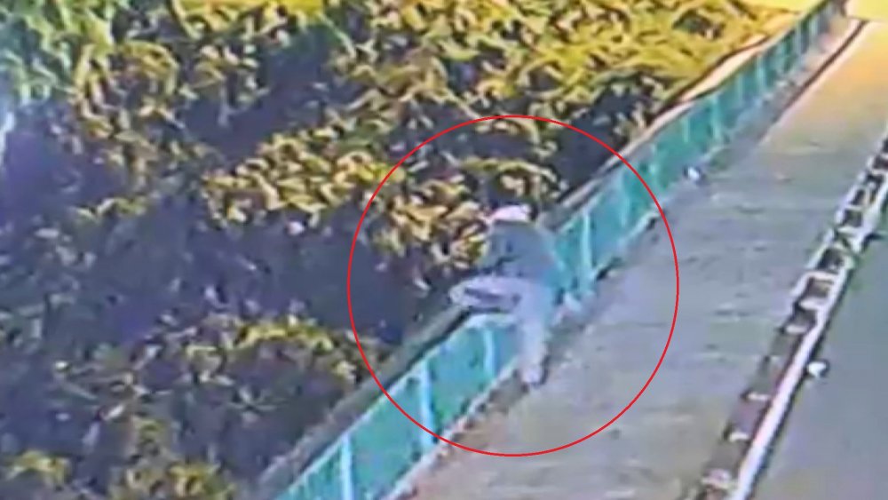 Köprüden dereye atlayan kişi hayatını kaybetti; olay anı kamerada