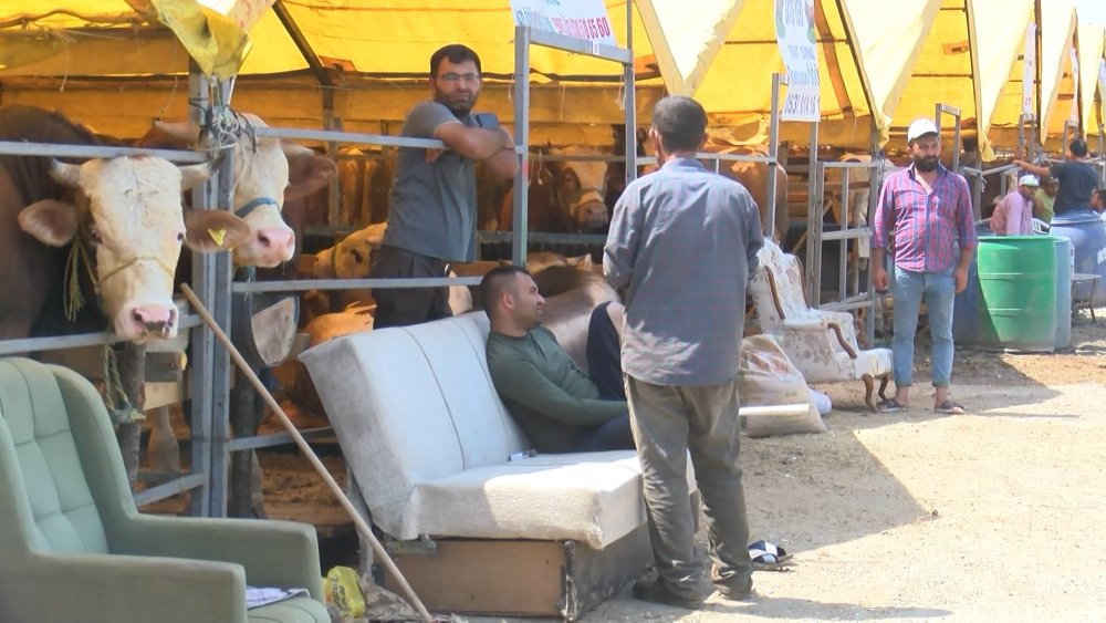 Kurban pazarında alıcıların son gün umudu