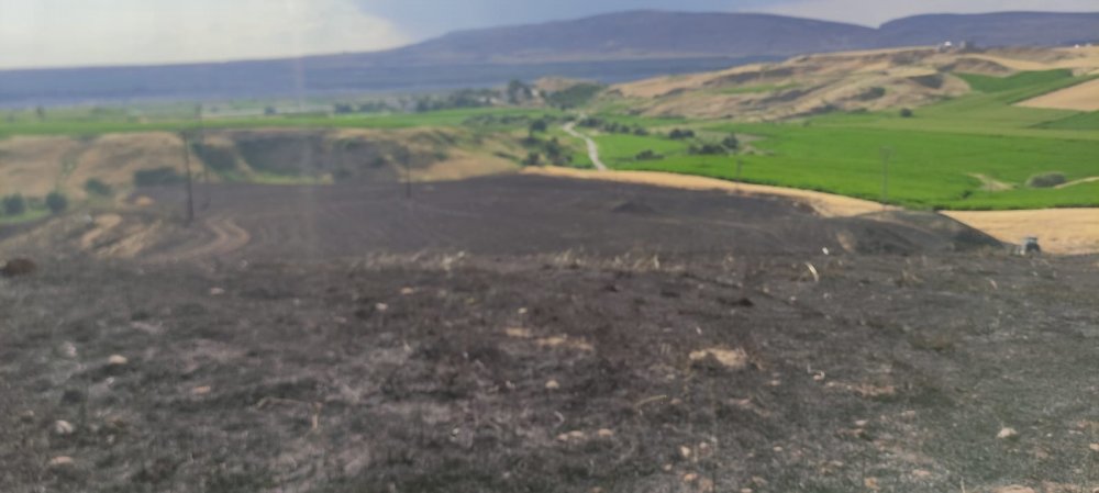 350 dönüm ekili buğday kül oldu