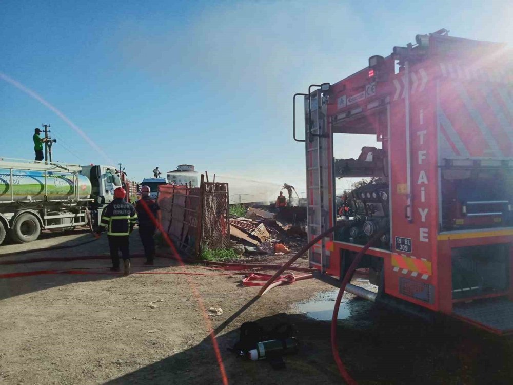 Hurdalık alanda yangın