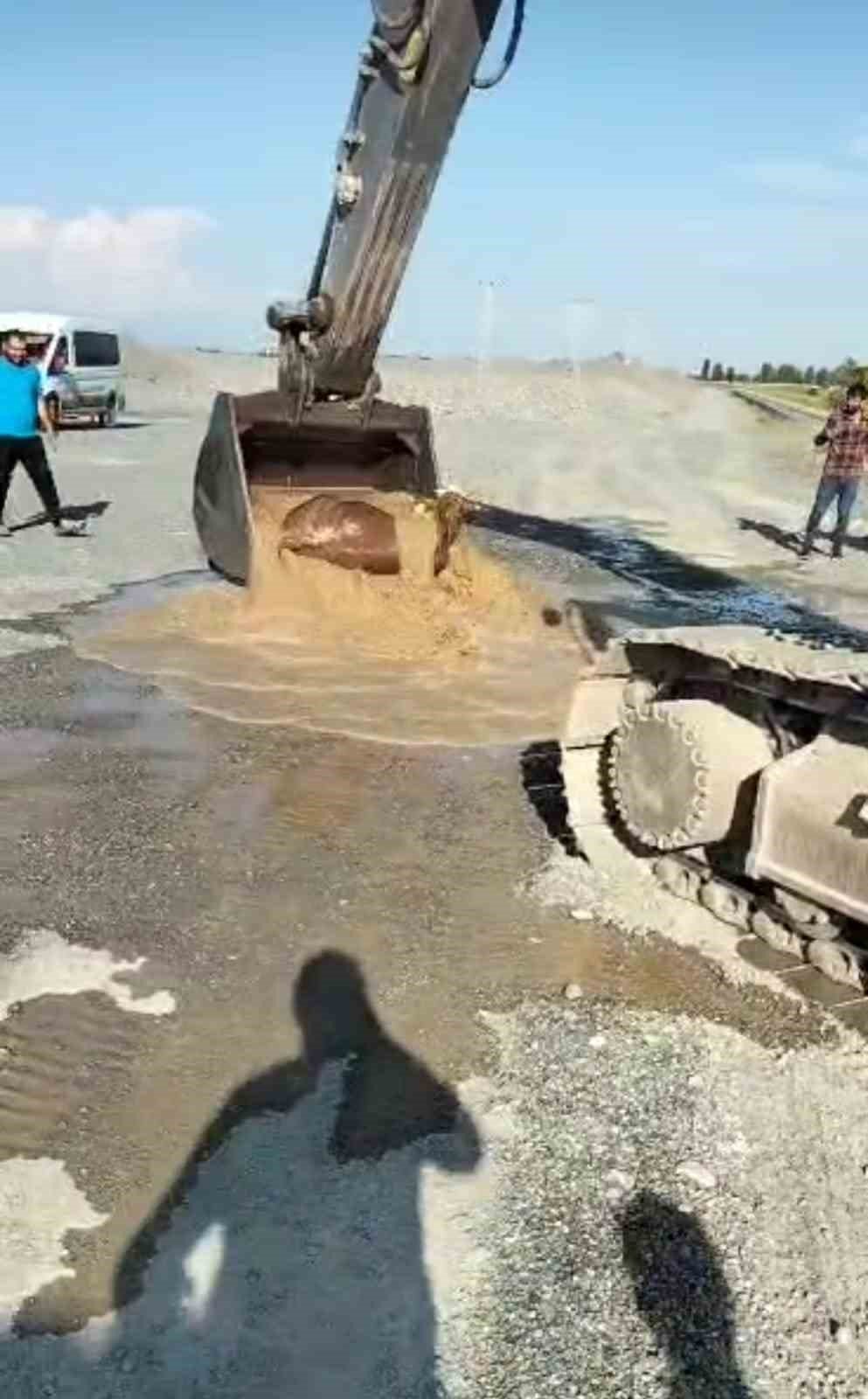 Su kanalına düşen boğayı kepçeyle kurtardı