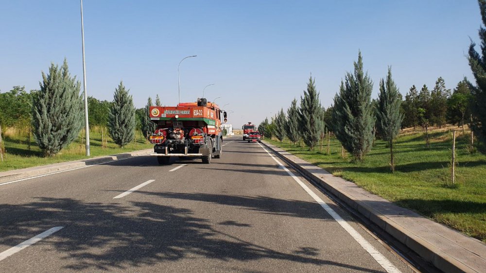 Diyarbakır Havalimanı yanındaki ormanda yangın