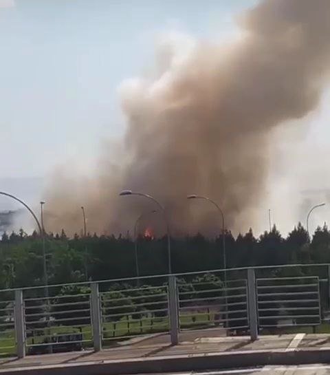 Diyarbakır Havalimanı yanındaki ormanda yangın