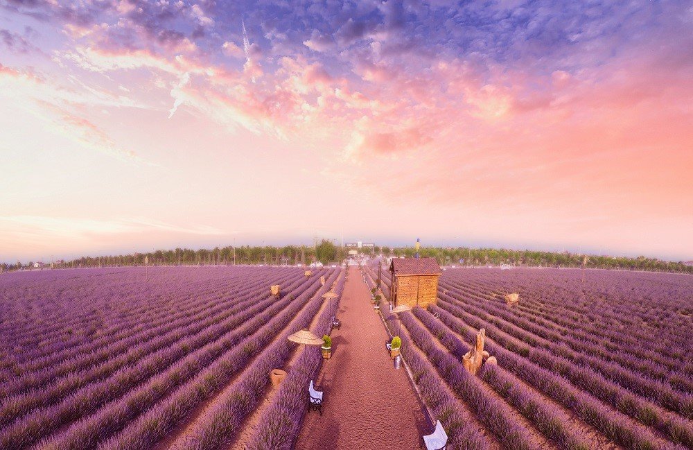 Konya'ya gelecek yerli-yabancı turistlerin uğrak noktası olacak! Açılış için gün sayıyor