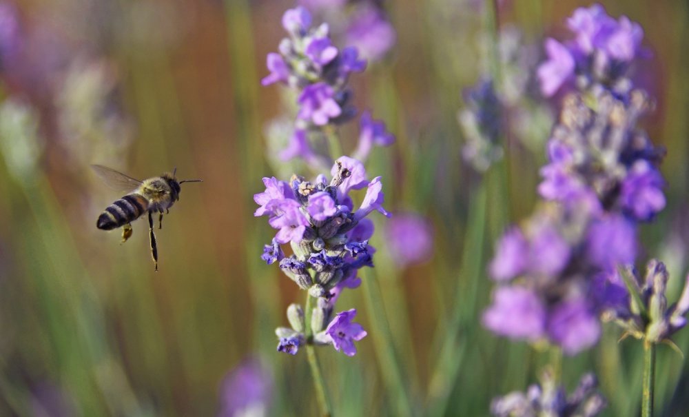 Konya'ya gelecek yerli-yabancı turistlerin uğrak noktası olacak! Açılış için gün sayıyor