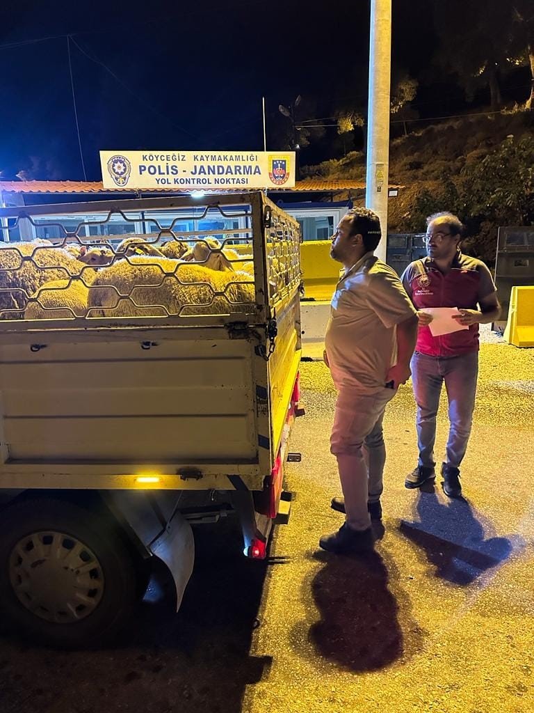 Denetimler aralıksız sürüyor