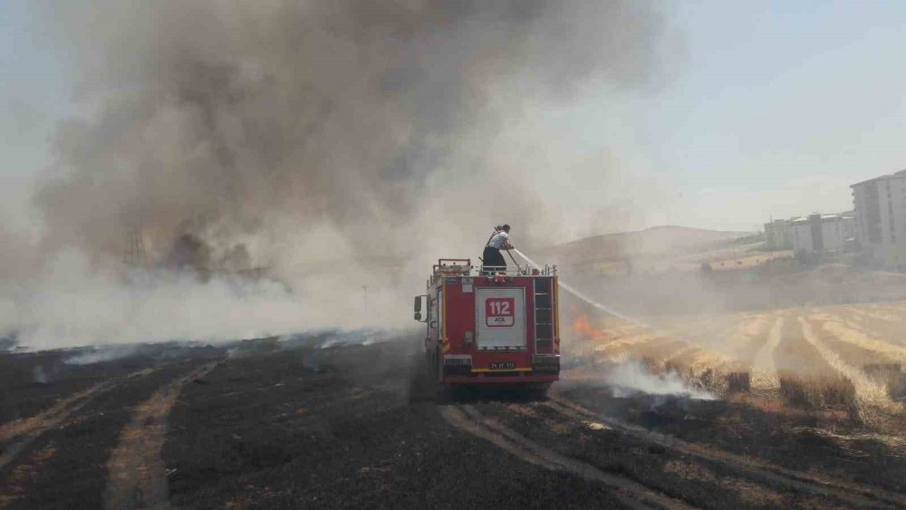 130 dekar tarım arazisi küle döndü