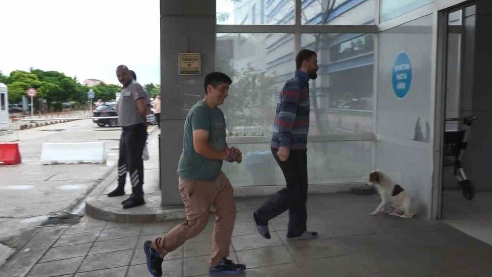 Acemi kasaplar hastanelik oldu