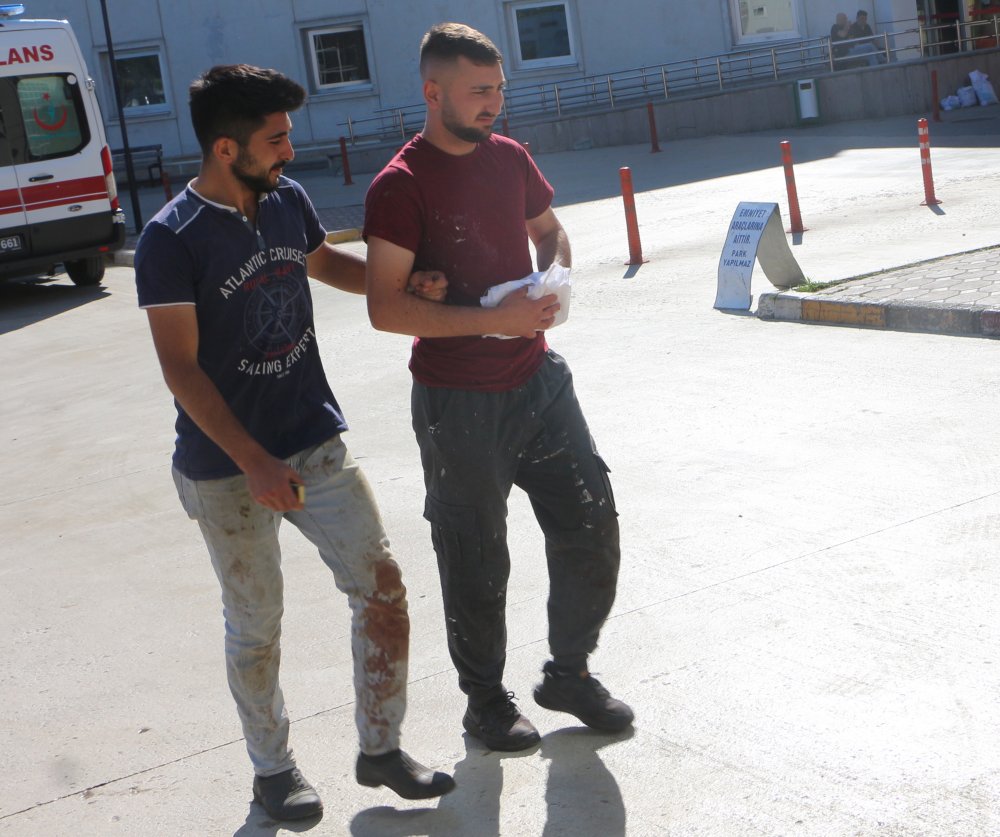 Kurban Bayramı'nda acemi kasapların bilançosu