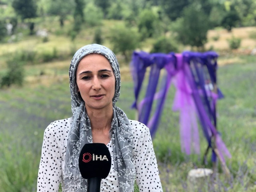 Kadın çiftçi devlet desteği ile çorak arazileri lavanta bahçesi yaptı