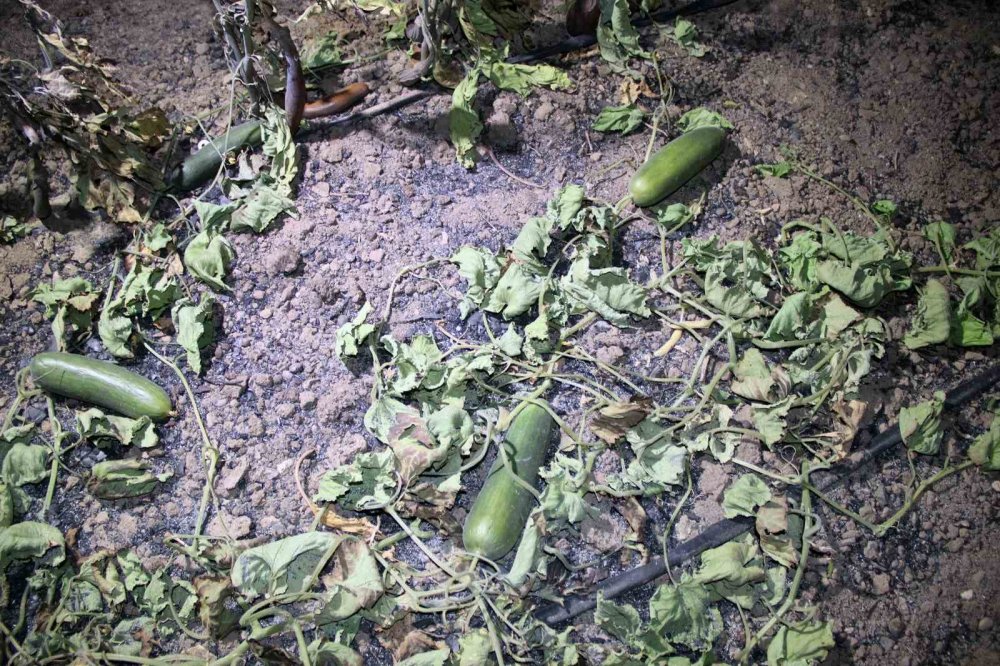 Yangın için kurduğu sistem ile milyonlarca lira zarardan kurtuldu