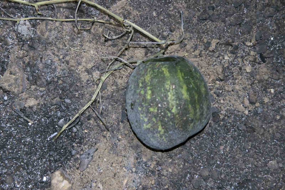 Yangın için kurduğu sistem ile milyonlarca lira zarardan kurtuldu