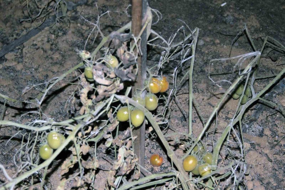 Yangın için kurduğu sistem ile milyonlarca lira zarardan kurtuldu