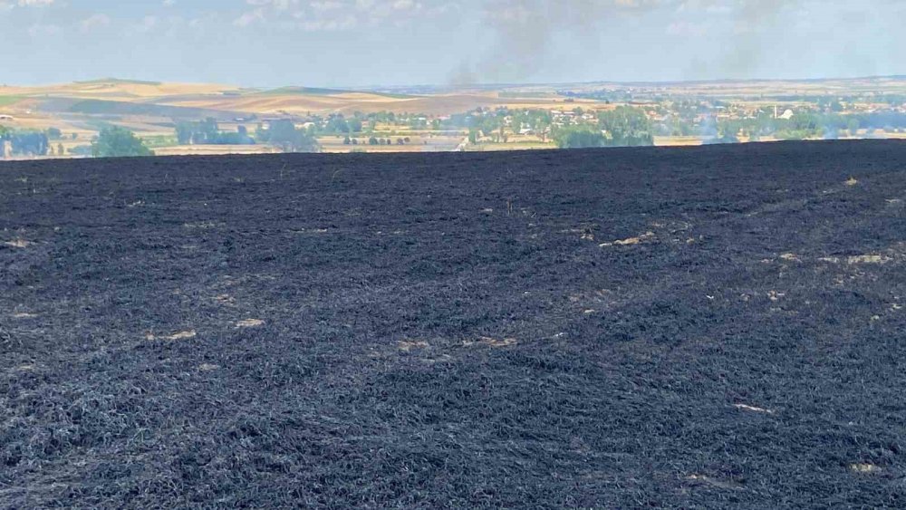 47 dönüm buğday tarlası 10 dakikada kül oldu