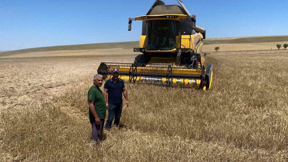 Arpa ve buğday hasadı başladı