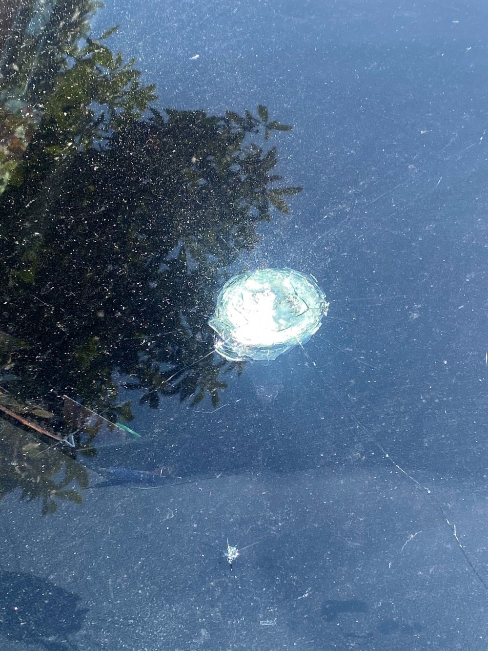 Kurban Bayramı'nda ‘yorgun mermi’ kabusu