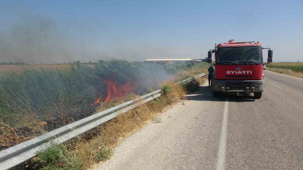 Mısır tarlasındaki yangın büyümeden söndürüldü