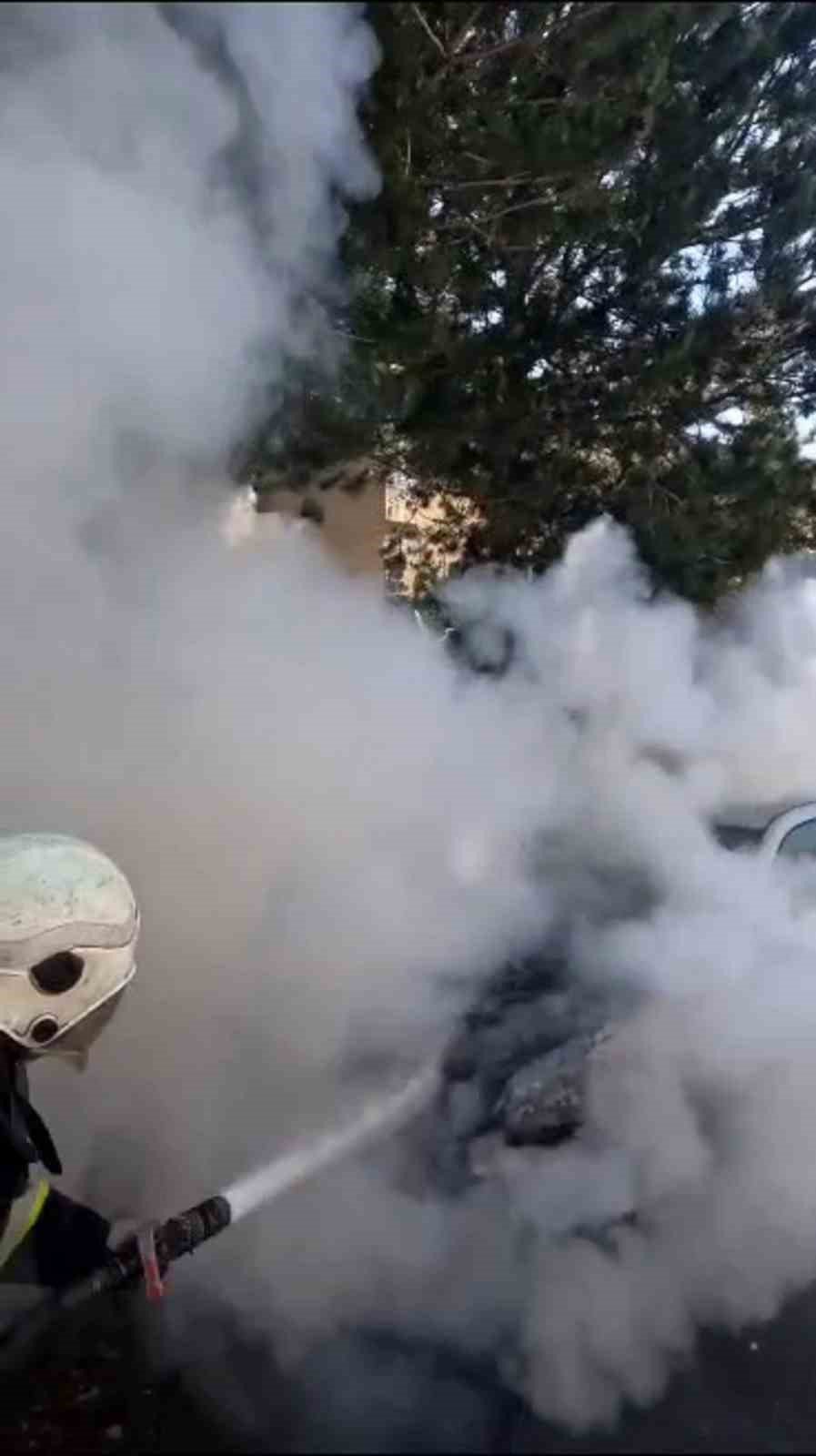 Park halindeki araç alev alev yandı