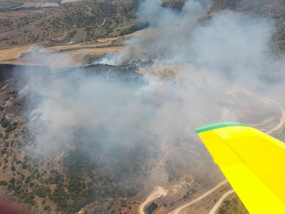 Tarlada çıkan yangın ormana sıçradı