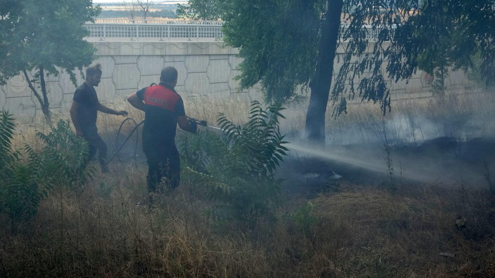 Ağaçlık bölgede yangın