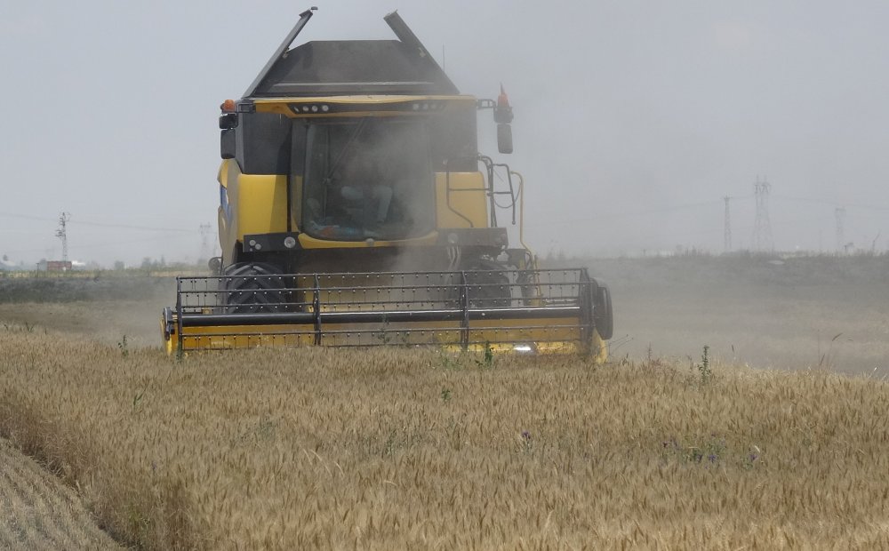 Konya'da çiftçileri bekleyen yeni tehlike! Bunlara dikkat edin...