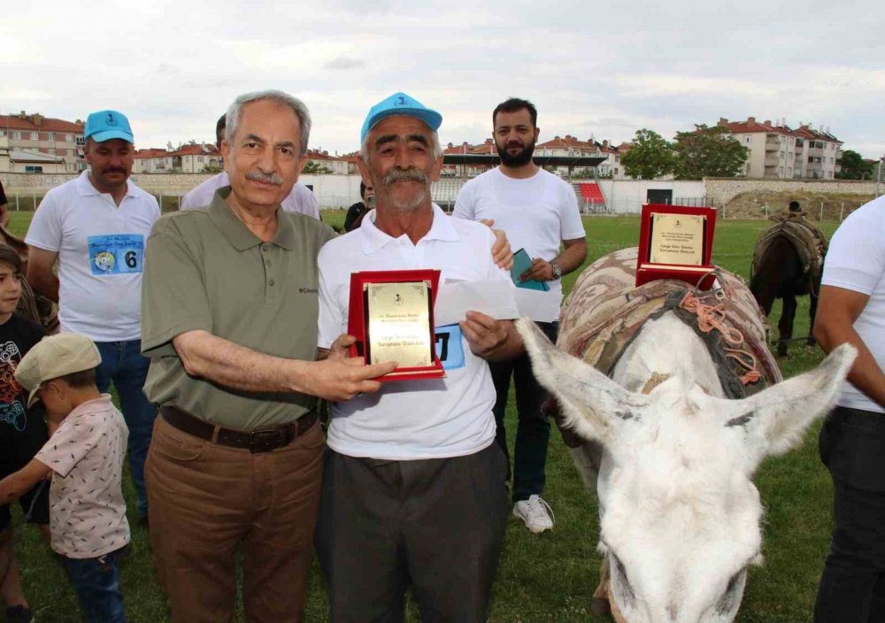 Konya'da eşekler yarıştı... "En güzel gözlü eşek" belli oldu