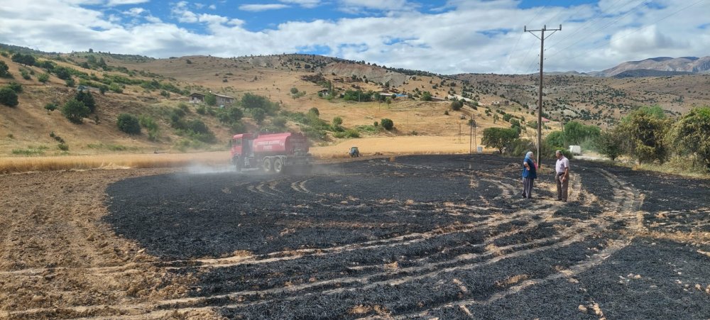 10 dönüm ekili buğday yandı